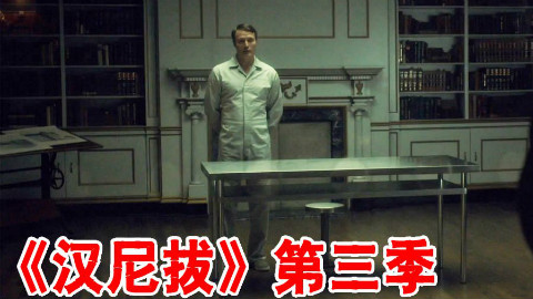 【长工】夫妻同心 齐力查案《汉尼拔》第三季 第9集